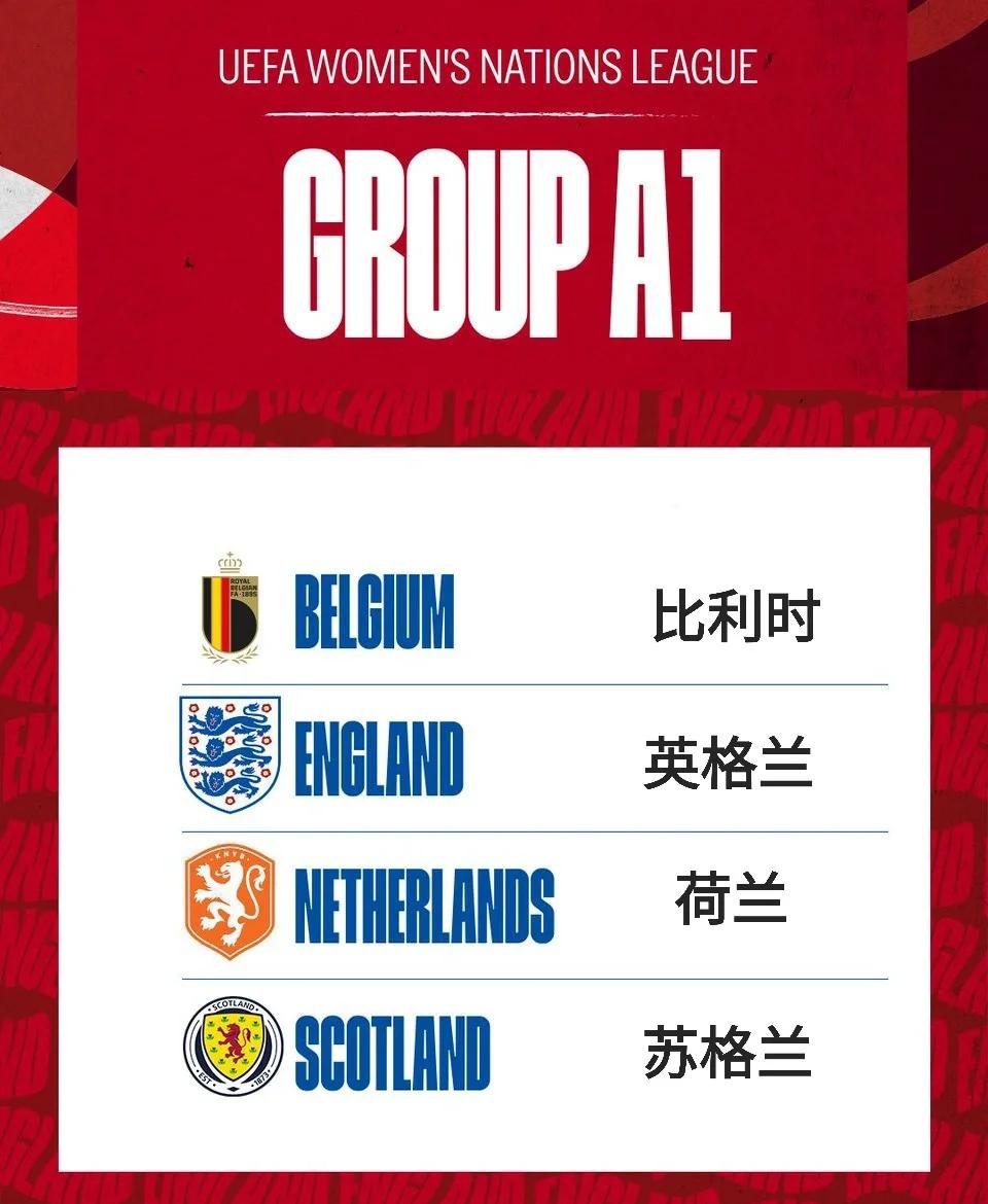 关于英格兰队在欧预赛中负于强敌，遭遇挑战的信息