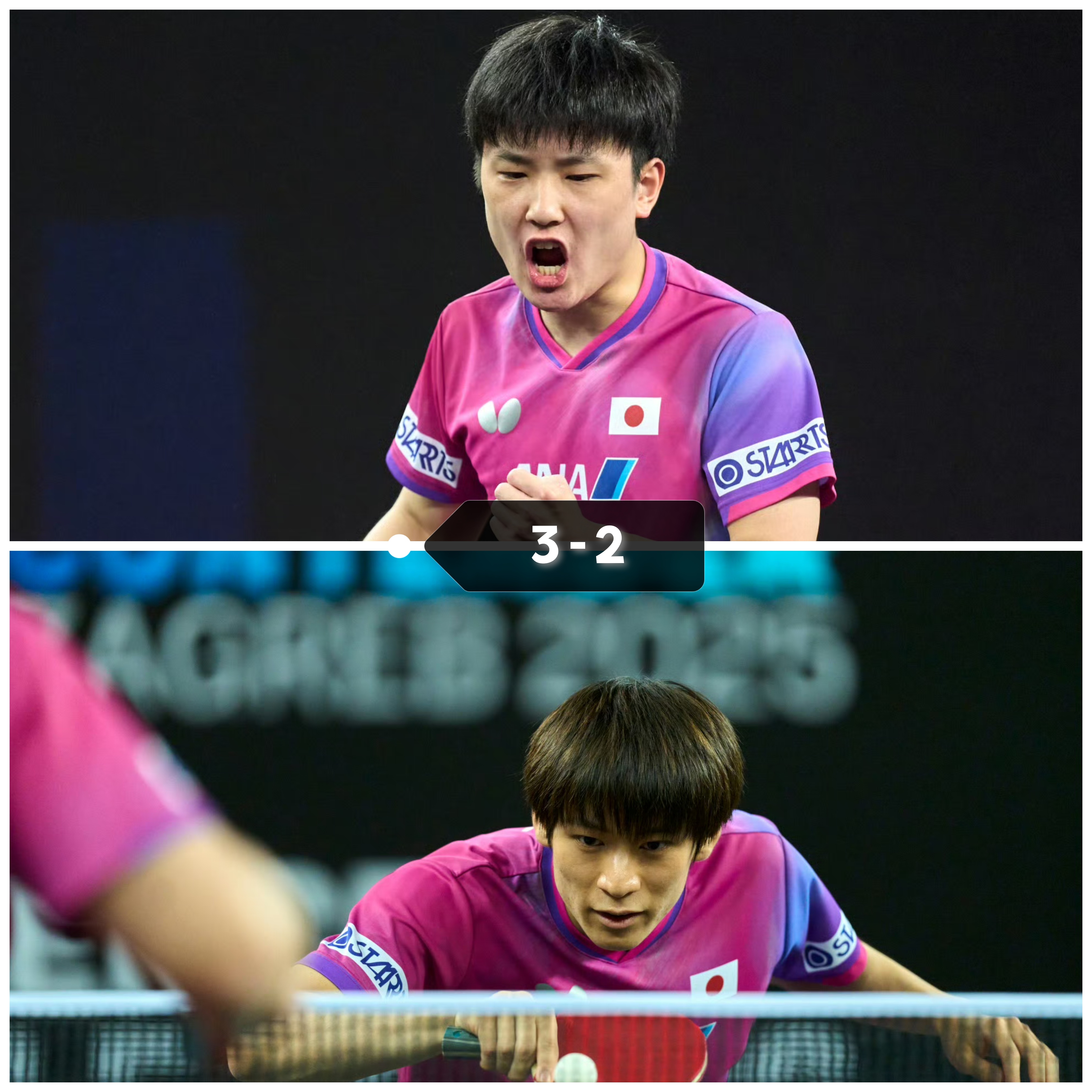 包含奥地利队力克日本队,张本智和带队取胜的词条 包含奥地利队力克日本队,张本智和带队取胜的词条