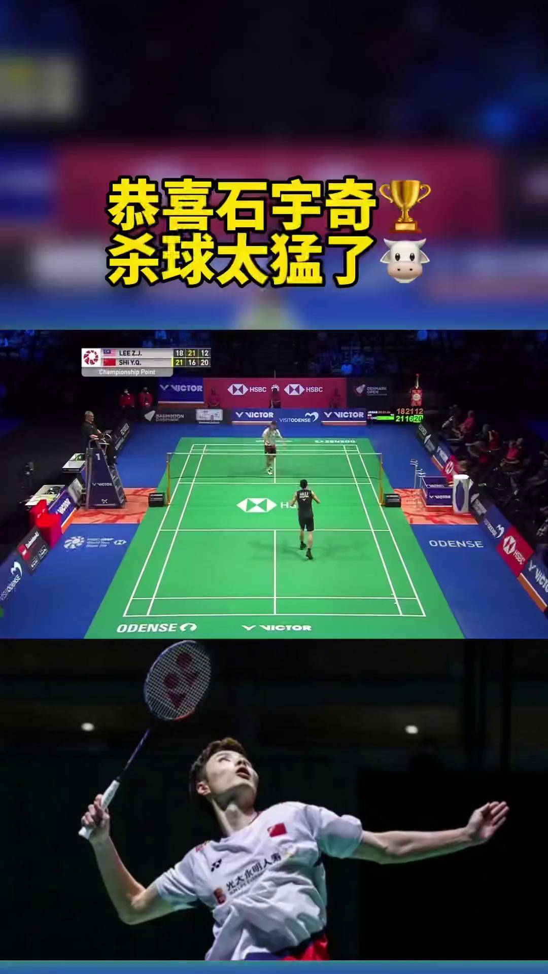 丹麦队鏖战法国队,李梓嘉关键制胜的简单介绍 丹麦队鏖战法国队,李梓嘉关键制胜的简单介绍